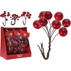 Декоративные ягоды Декоративные ягоды