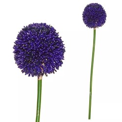Mākslīgs zieds 70 cm - ALLIUMS violets Mākslīgs zieds 70 cm - ALLIUMS violets