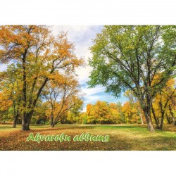 Akvareļu albums A3 15lp. Akvareļu albums A3 15lp.