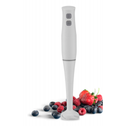 Blenderis STICK LENTZ 400W Blenderis STICK LENTZ 400W