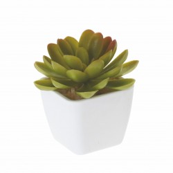 Mākslīgs augs podā SUCCULENT