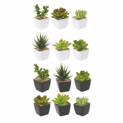 Mākslīgs augs podā SUCCULENT Mākslīgs augs podā SUCCULENT