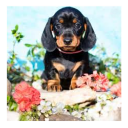 Алмазная мозаика Diamond Painting Toy-Toys 30x30cm Алмазная мозаика Diamond Painting Toy-Toys 30x30cm