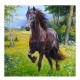 Алмазная мозаика Diamond Painting Toy-Toys 30x30cm