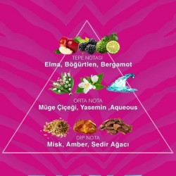 Parfimērijas ūdens sieviešu CHEETAH EDP 100ml - Exotic