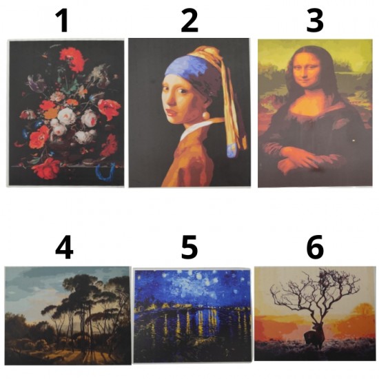 Glezna pēc numuriem 40x50cm - dažādi veidi