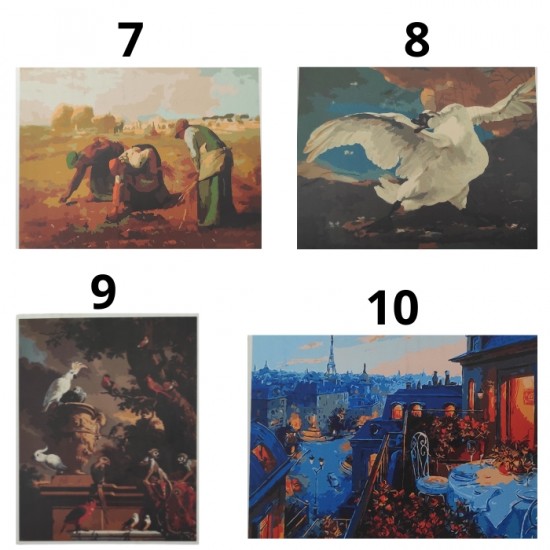 Glezna pēc numuriem 40x50cm - dažādi veidi