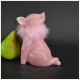 Krājkase PIG LADY,- rozā