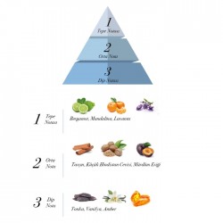 Мужская парфюмированная вода PROVA EDP 120 мл - Gold Man