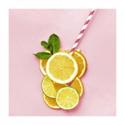 Salvetes DUNI 33x33 cm Salvetes DUNI 33x33 cm