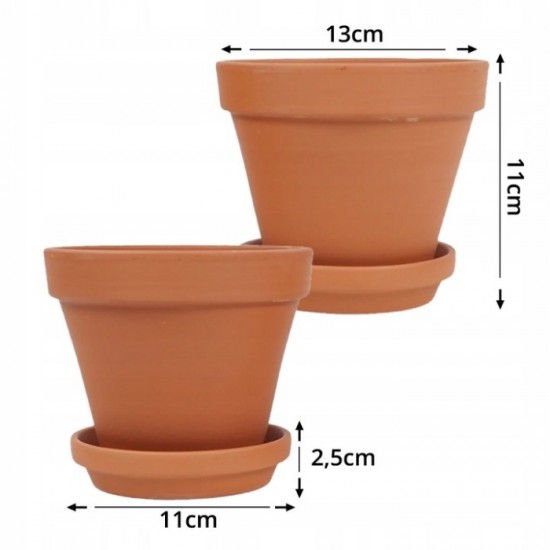 Podi ar maurlokiem un bazilika sēklām 13,5 cm.