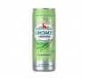 Limonāde BORJOMI 0,33L - Tarhūns/Estragons