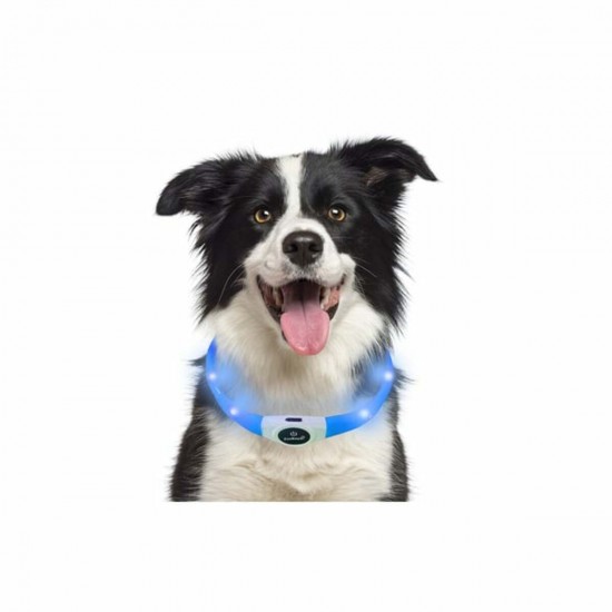 Ошейник для собак со светодиодной подсветкой 2,5 см, 3 цвета Ошейник для собак со светодиодной подсветкой 2,5 см, 3 цвета