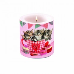 Svece ar kaķiem  un kūkam.