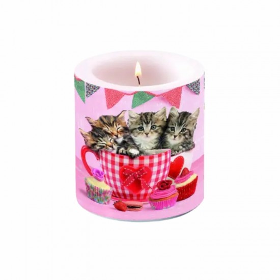 Svece ar kaķiem  un kūkam.