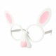 Lieldienu ballīšu brilles EASTER – trusis