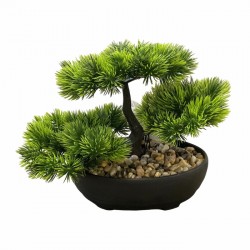 Декоративное растение бонсай Декоративное растение бонсай