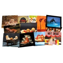 Posteris 50x40cm Posteris 50x40cm