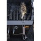 Restes zivīm BBQ 70 cm