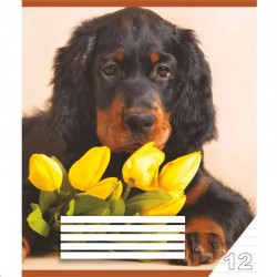 Тетрадь 12стр. в линейку Тетрадь 12стр. в линейку