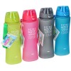 Dzērienu pudele  650ml/ 7,5x24,5